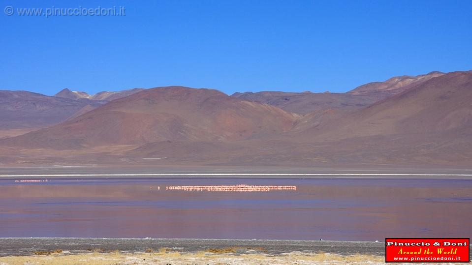 BOLIVIA - Verso il Chile - 09.jpg